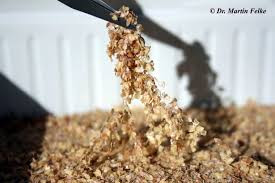 Wie Bekomme Ich Lebensmittelmotten Weg Tiere Lebensmittel Kuche