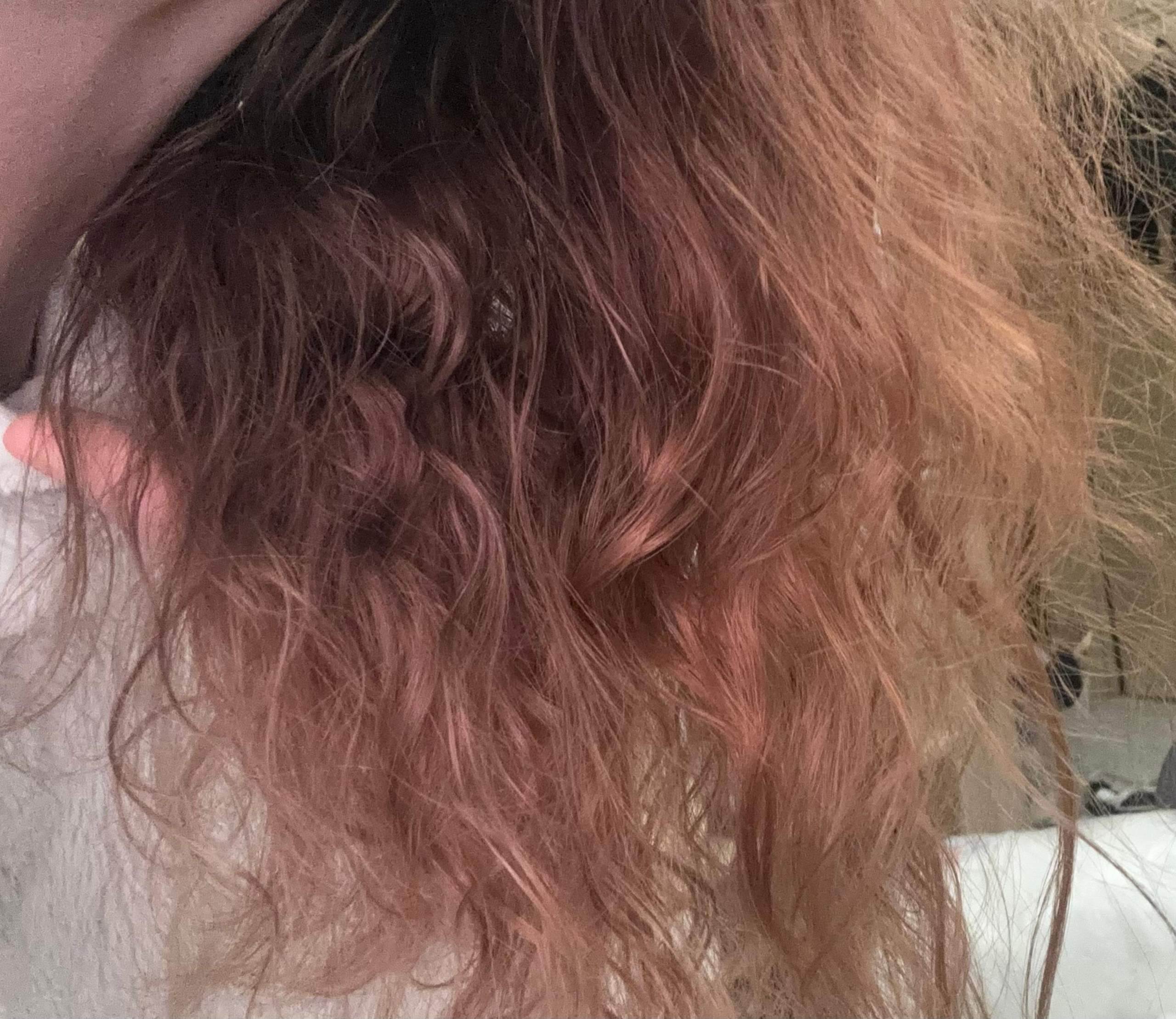 Braune Haare Lila Strahnen