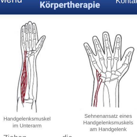 Betroffener Bereich - (Menschen, Körper, Arzt)