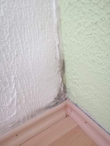 wie bekommt man diesen schimmel weg gesundheit und medizin gesundheit wohnung