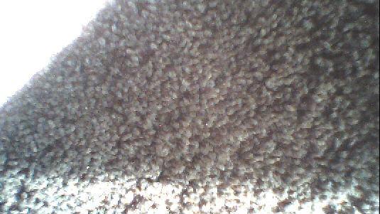 Wie Bekommt Man Haare Aus Dem Teppich Boden Wie Bekommt Man Haare Aus Dem Teppich Boden