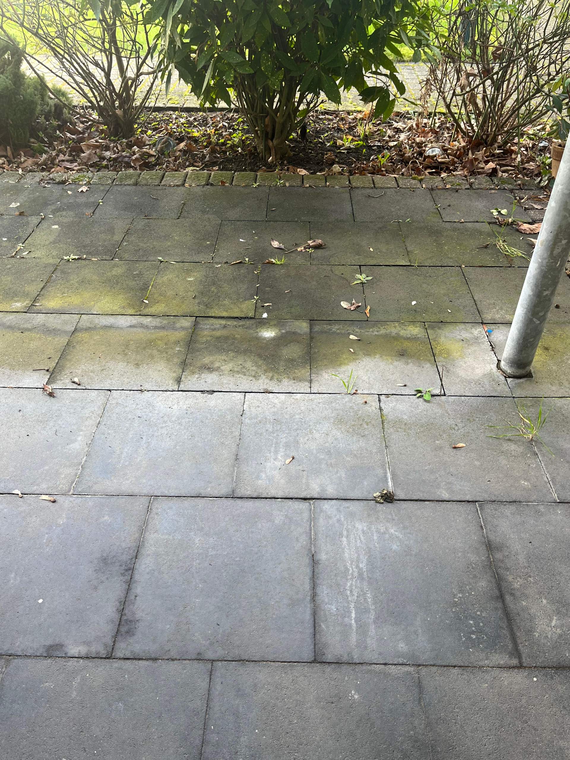 Wie bekommt man sowas weg? (Garten, Hausmittel, putzen)