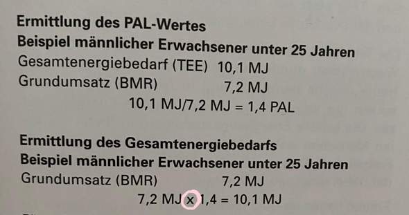 Wie berechnet man den Gesamtenergiebedarf (Formel)? (Schule, Technik