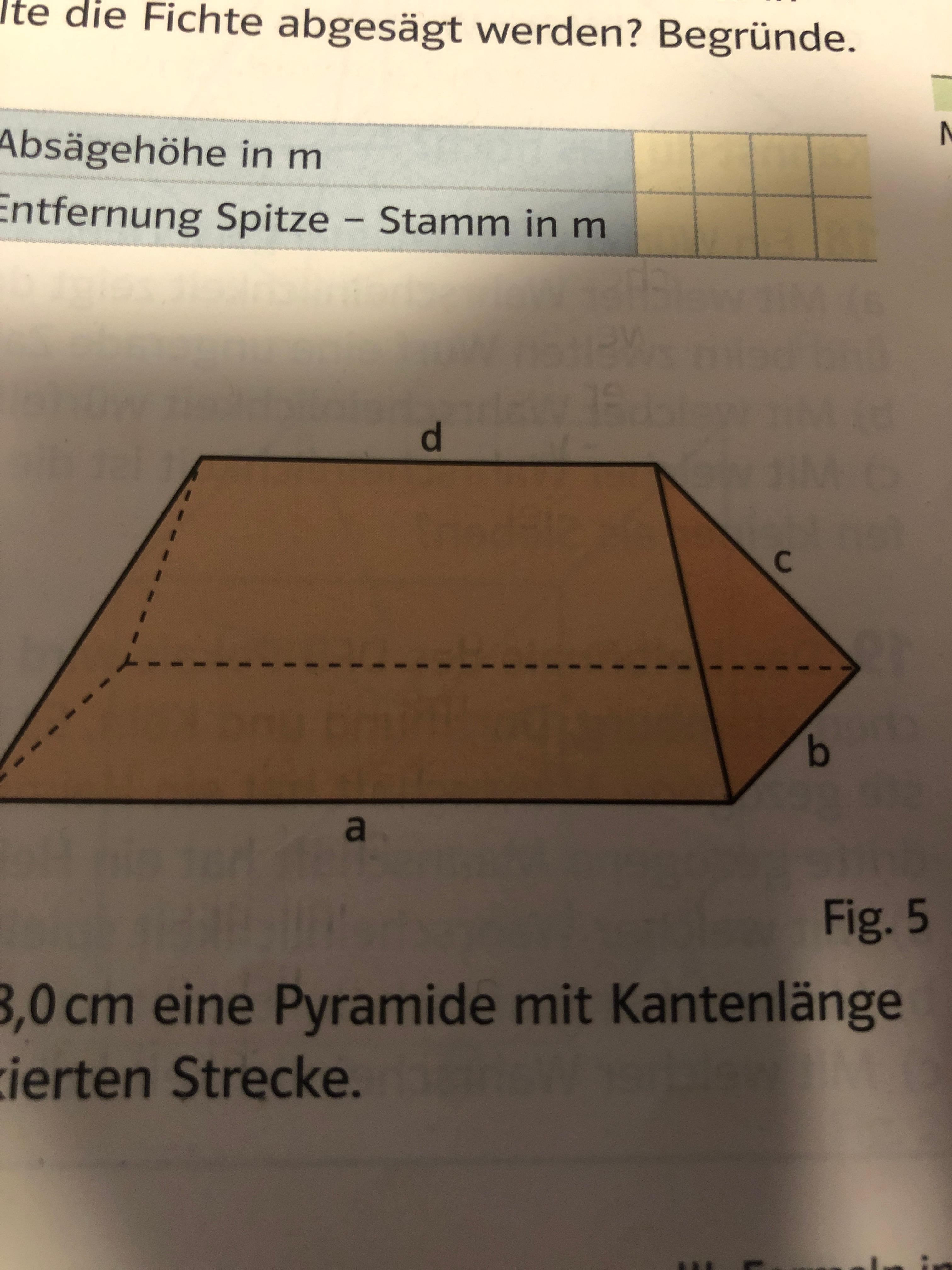 Auf Welcher Höhe Findet Man Dias