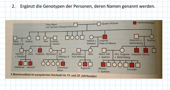 Bild zum Beitrag