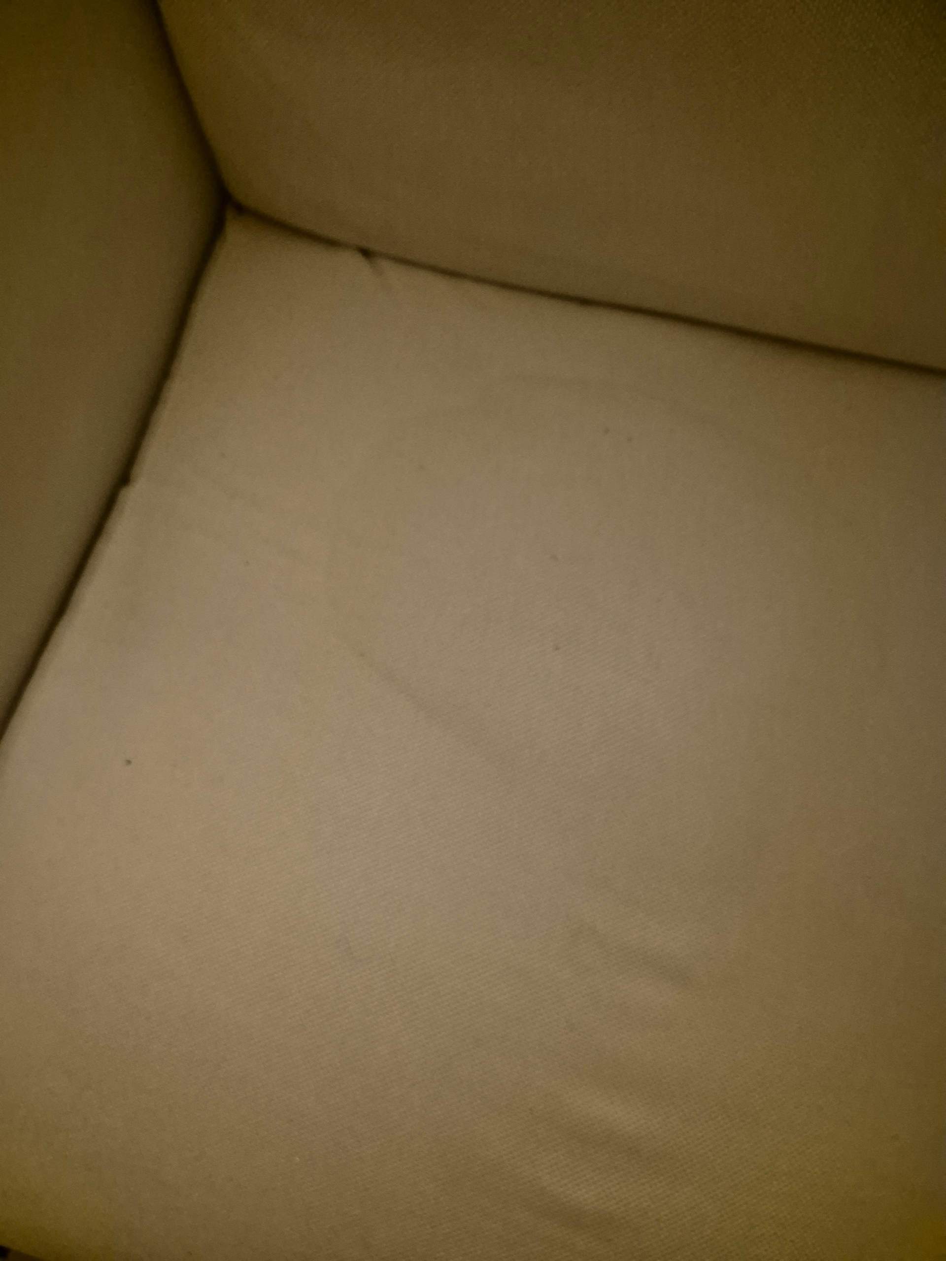 Wie Bekomme Ich Erbrochenes Aus Dem Sofa
