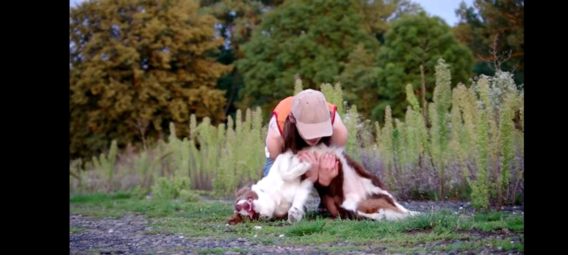 Wie Bringt Man Einem Hund Peng Bei Wie bringt man seinem Hund bei, sich im Arm tot zustellen? (Tricks)