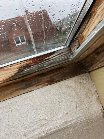 Wie Einen Wasserschaden An Fenster Ausbessern Holz Heimwerken Renovierung