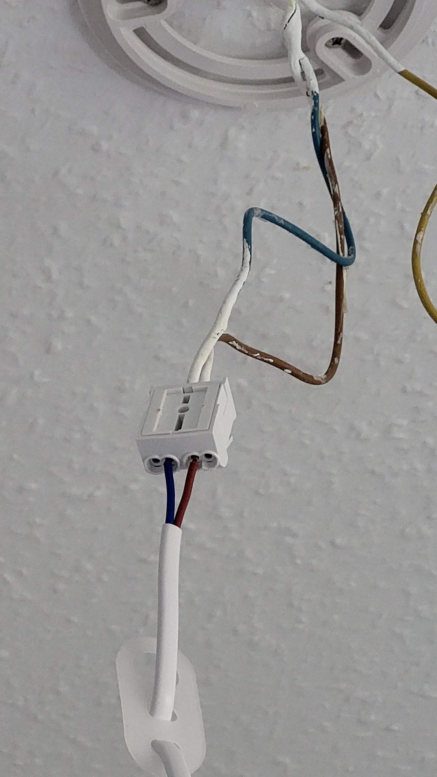 Wie entferne ich die klemme vom kabel? (Lüsterklemme)