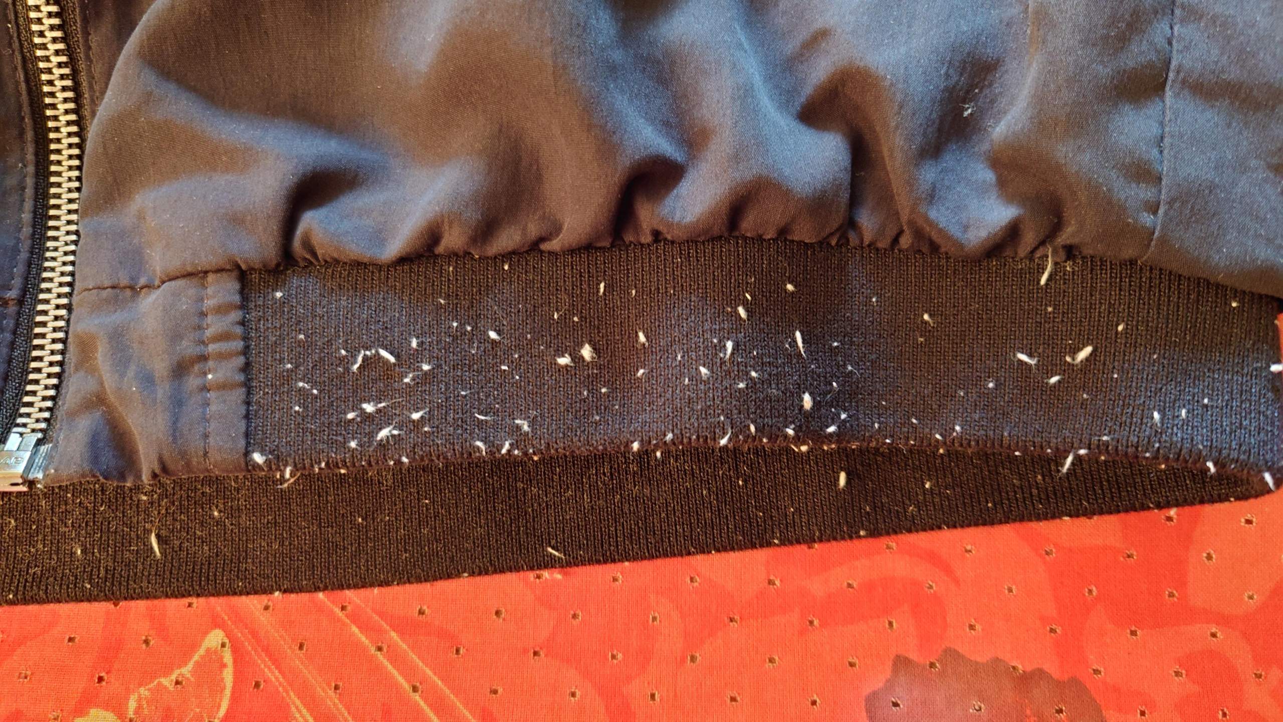 Wie Bekomme Ich Schmiere Aus Der Jacke Wie entferne ich diese Fussel von meiner Jacke? (Kleidung