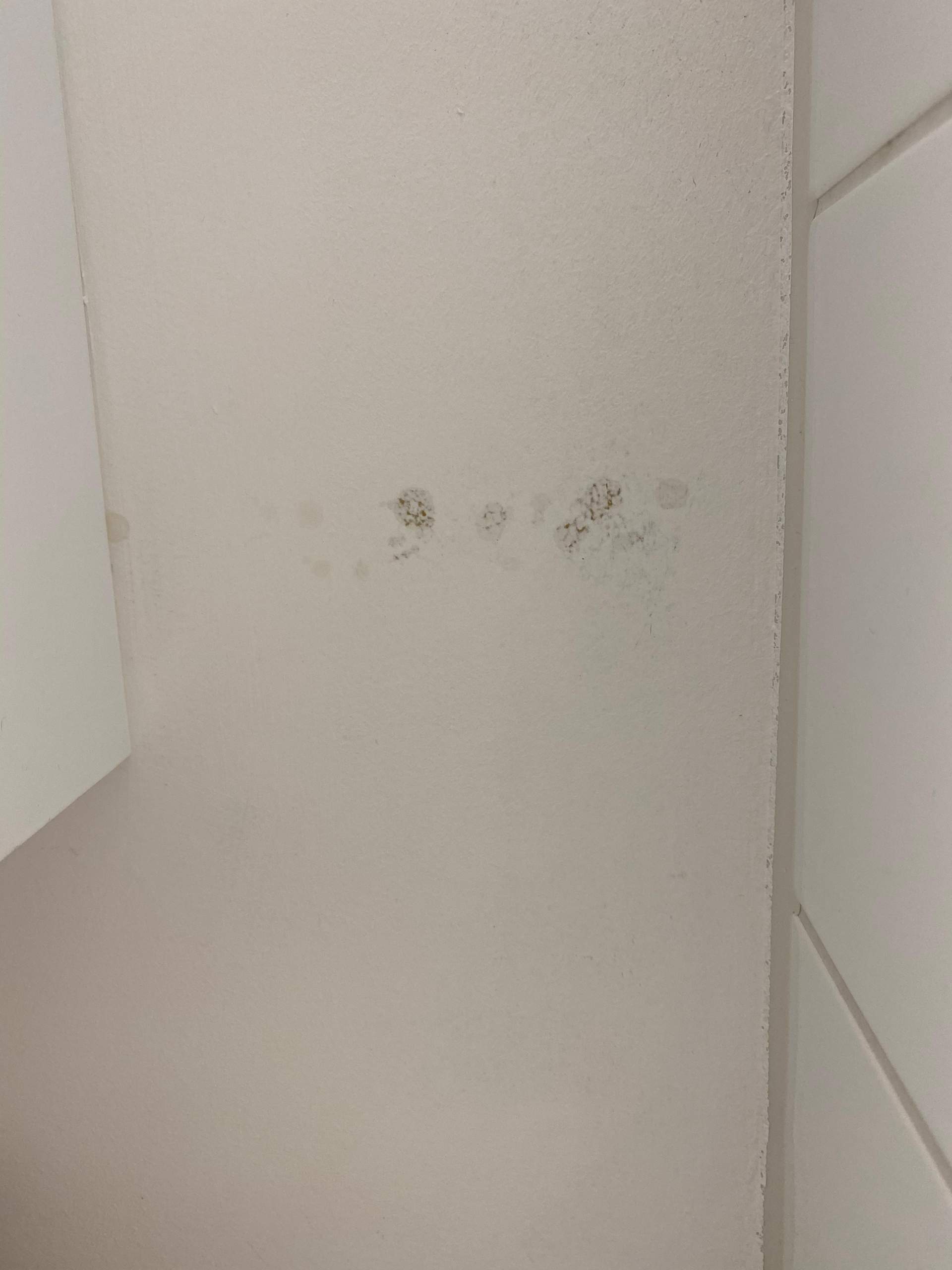 Wie entferne ich Flecken an einer weissen Wand? (Fleckentfernung)