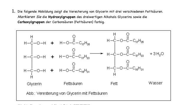 Wie erkennt man Hydroxylgruppen und Carboxylgruppen? (veresterung ...