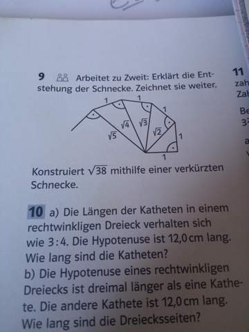Bild zum Beitrag
