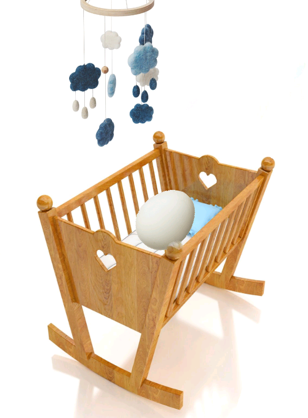 Wie fändet ihr es, wenn Menschen Eier legen würden? (Kinder