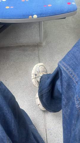 Bild zum Beitrag