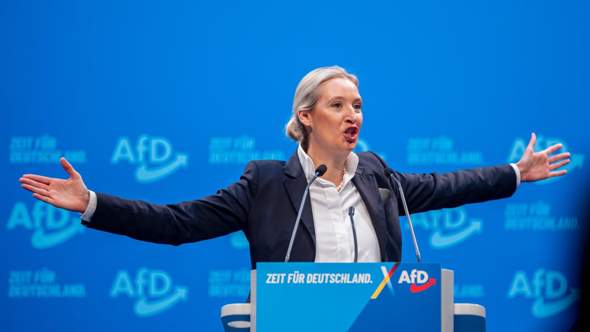 Bild zum Beitrag