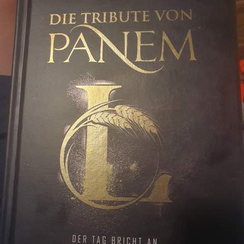 Bild zum Beitrag