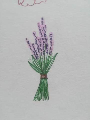 Wie findet ihr das Bild von dem Lavendel?