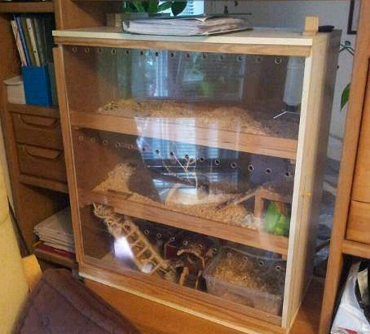 das ist das gehege - (Hamster, Gehege)