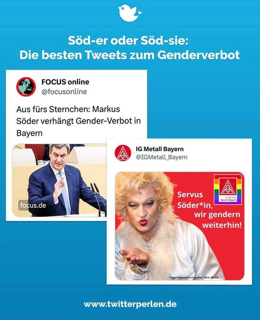Wie findet ihr das Verbot des Genderns in Bayern? (Frauen, Sprache)