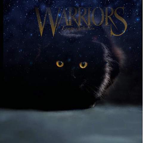 Wie findet ihr das Warrior cats cover?