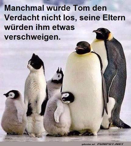 Bild zum Beitrag