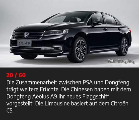 Bild zum Beitrag