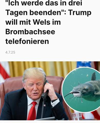 Bild zum Beitrag