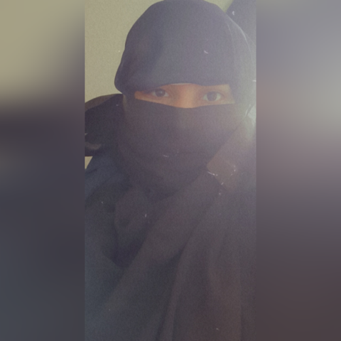 Wie findet ihr den Niqab?