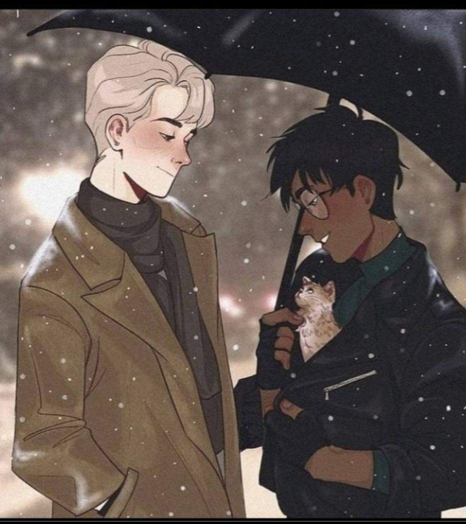 Wie findet ihr den ship Darry? (Liebe, Harry Potter, Fanfiction)