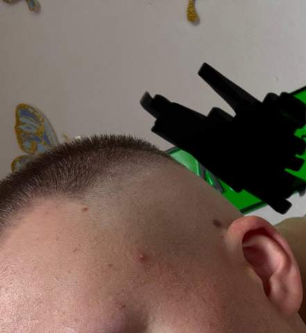 Bild zum Beitrag