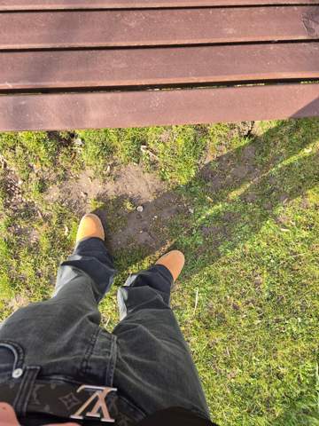 Bild zum Beitrag