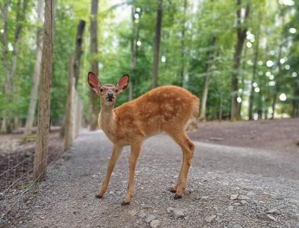 Bild zum Beitrag