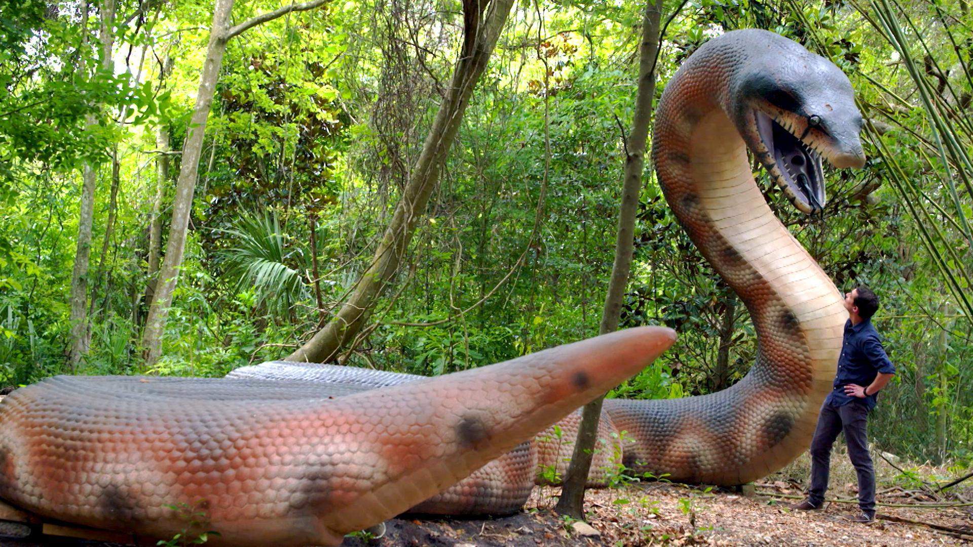 Wie findet ihr die Titanoboa? (Menschen, Zukunft)