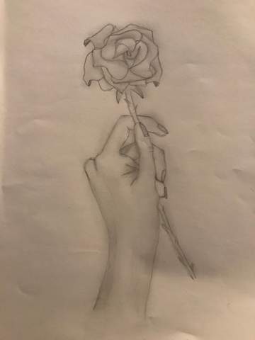 Wie Findet Ihr Die Zeichnung Hand Rose Kunst Zeichnen