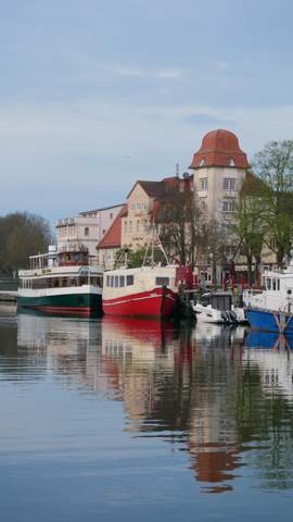 Bild zum Beitrag