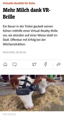 Wie findet ihr diese Idee mit VR-Brille bei Kühen?
