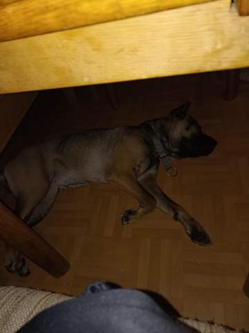 Bild zum Beitrag