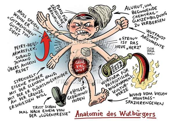 Bild zum Beitrag