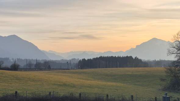 Bild zum Beitrag