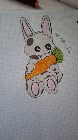 Bild zum Beitrag