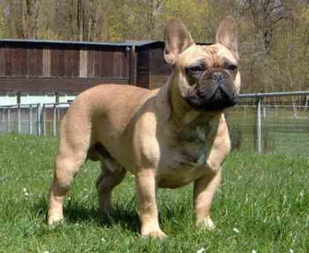 Ebay magyar Ebay magyar