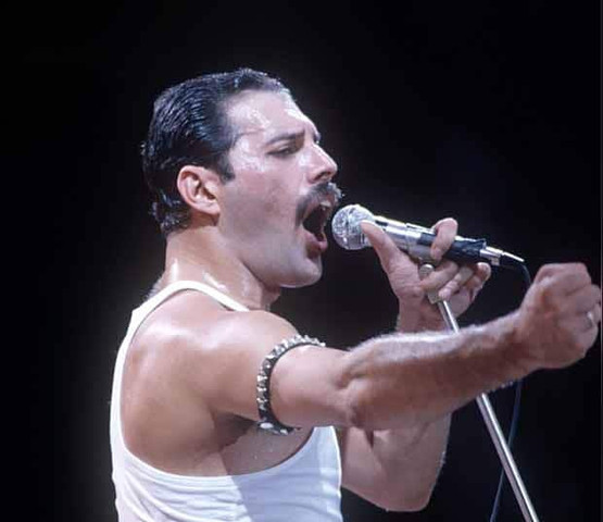 Freddie - (Musik, Rock, Band)