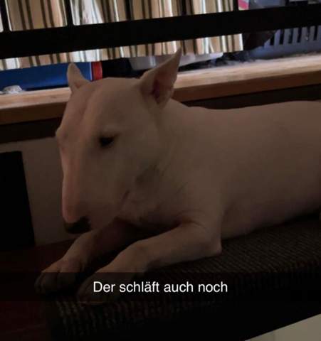 Bild zum Beitrag