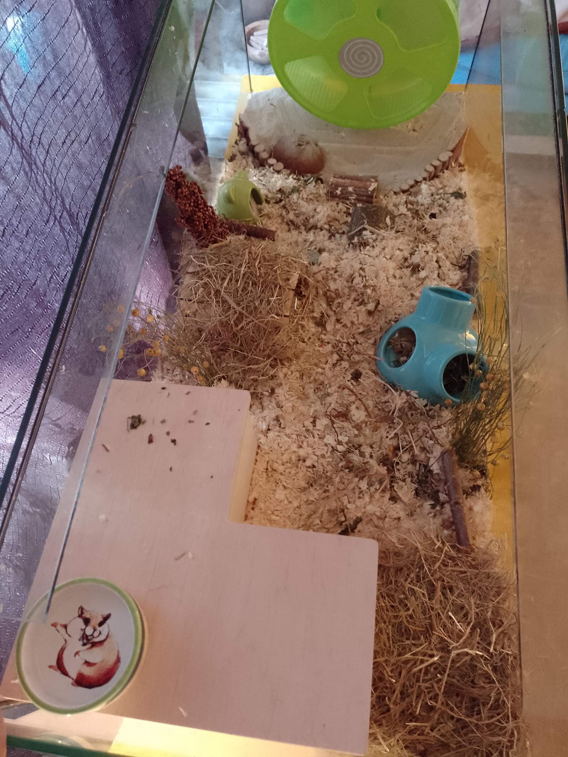 Wie findet ihr mein hamstergehege? (Hamster, Hamsterhaltung, Hamsterkäfig)
