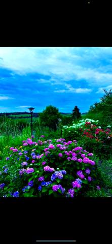 Bild zum Beitrag