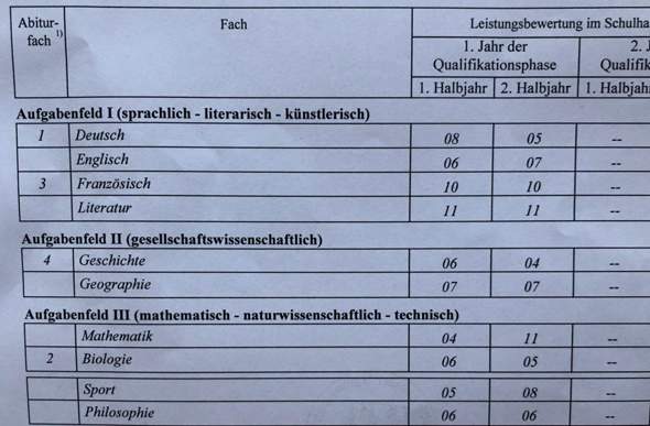 Wie findet ihr mein Zeugnis? Schaffe ich im Abi noch 2.0? (Schule, Abitur, Durchschnitt)