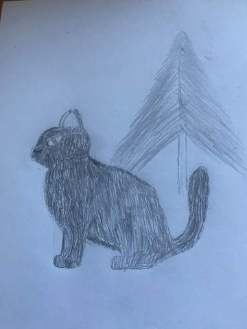  - (zeichnen, Warrior Cats, Zeichnung)