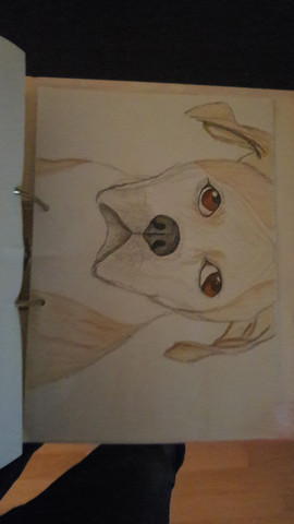 Wie Findet Ihr Meine Zeichnung Bitte Ehrlich Bewerten Hund