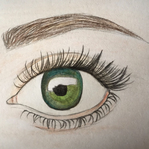 Auge  - (Kunst, zeichnen, Zeichnung)